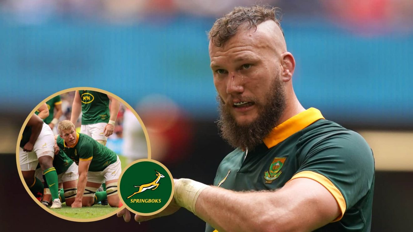 Springboks RG Snyman and Pieter-Steph du Toit.
