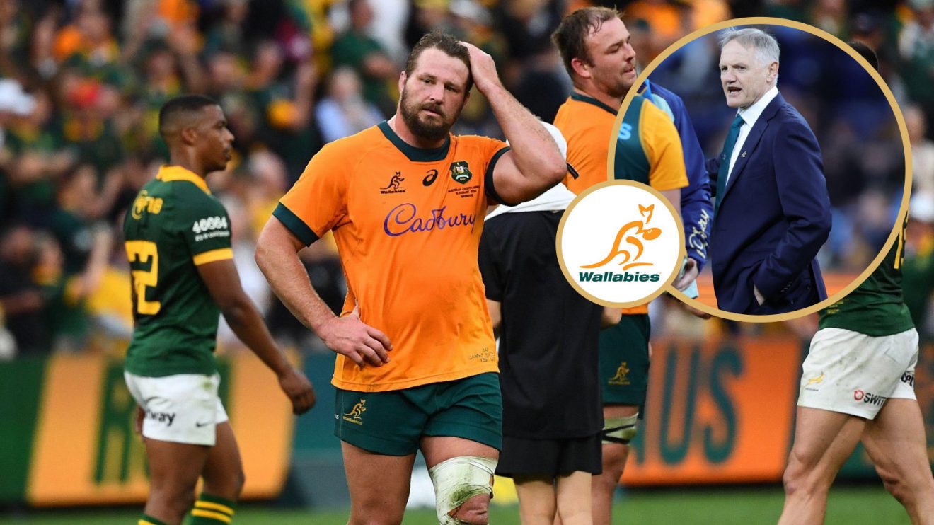 Joe Schmidt and Wallabies image.jpg