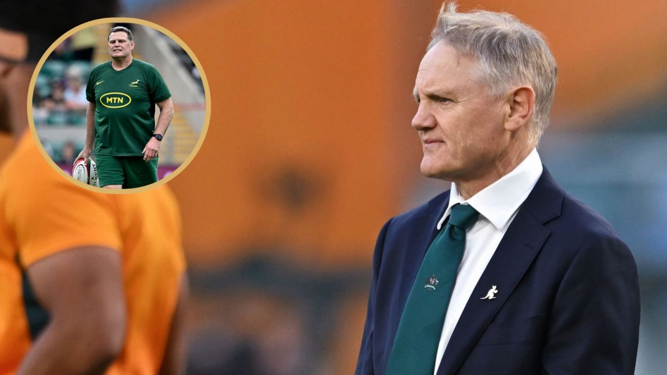 Wallabies boss Joe Schmidt and Springboks head coach Rassie Erasmus.