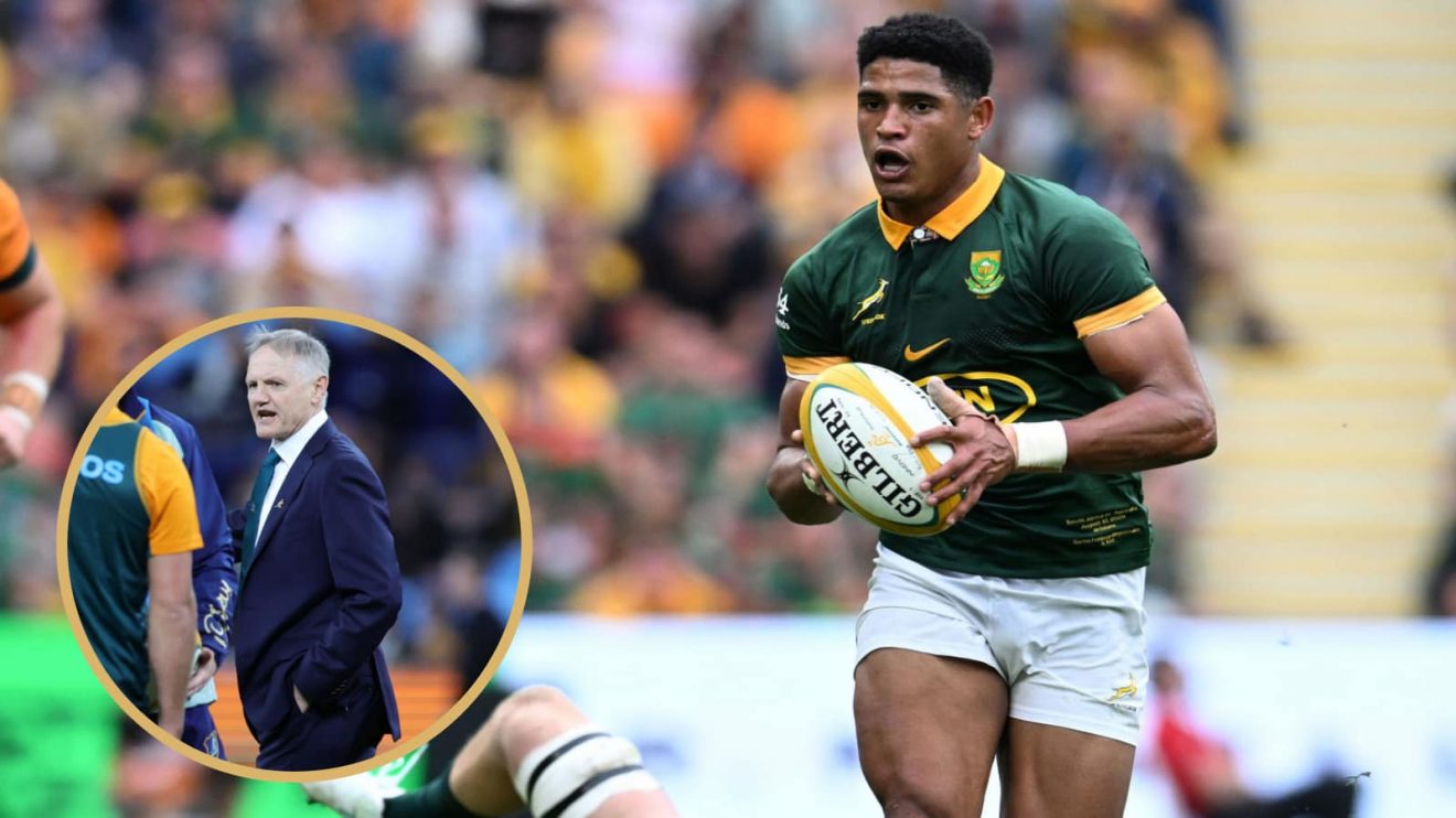 Springboks playmaker Sacha Feinberg-Mngomezulu and Wallabies head coach Joe Schmidt (inset).