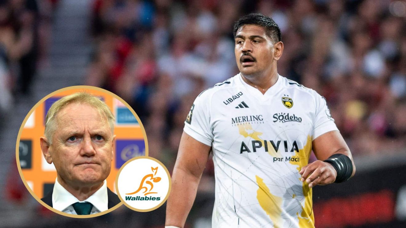 Wallabies head coach Joe Schmidt and Australian La Rochelle lock Will Skelton.