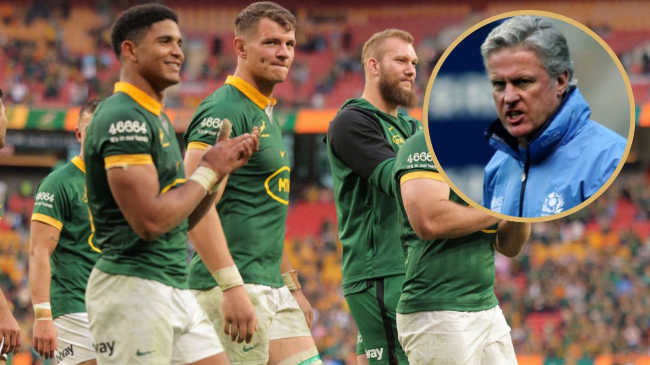 Matt Williams hails Springboks performance against Wallabies