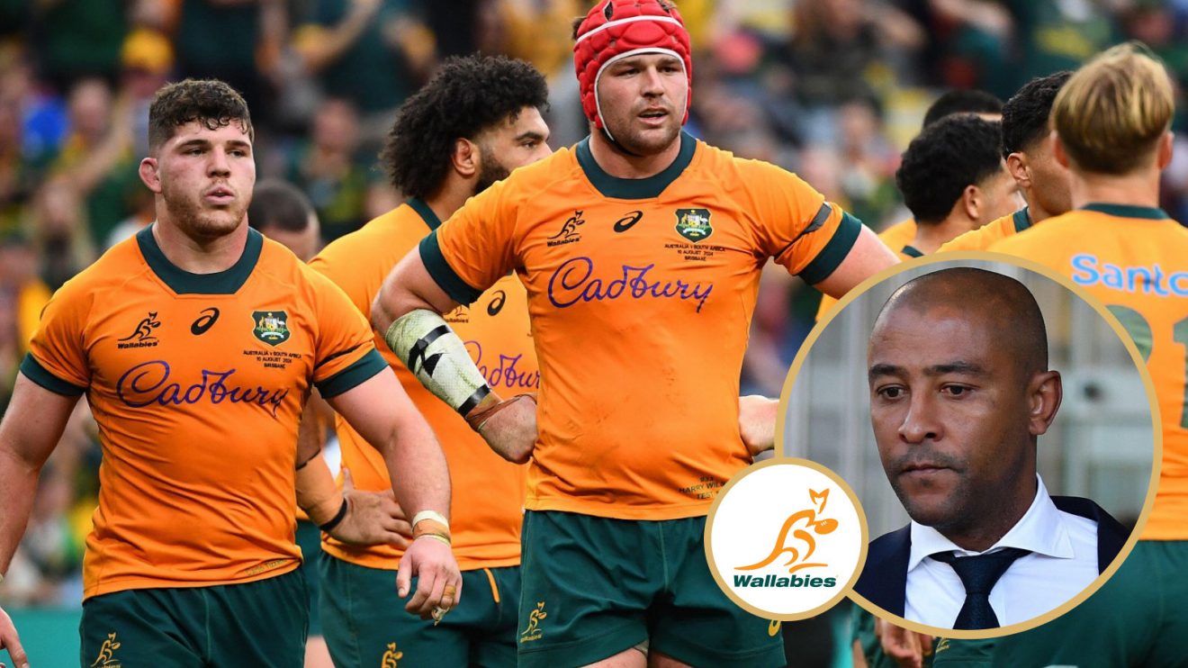 George Gregan and Wallabies image