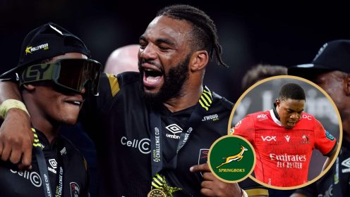 Springboks back-row boost as hugely talented brothers become available for Rassie Erasmus’ selection