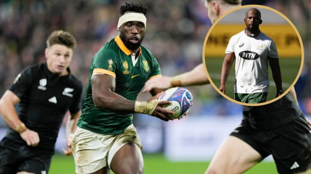 Springboks relishing ‘the moments we live for’ Tests against All Blacks as coach unpacks perfect Australia trip