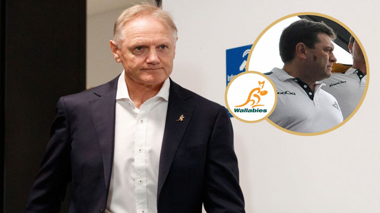 Wallabies head coach Joe Schmidt and Rugby Australia consultant David Nucifora.