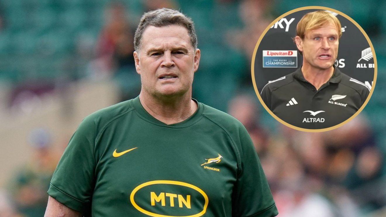 Rassie Erasmus and Scott Robertson image