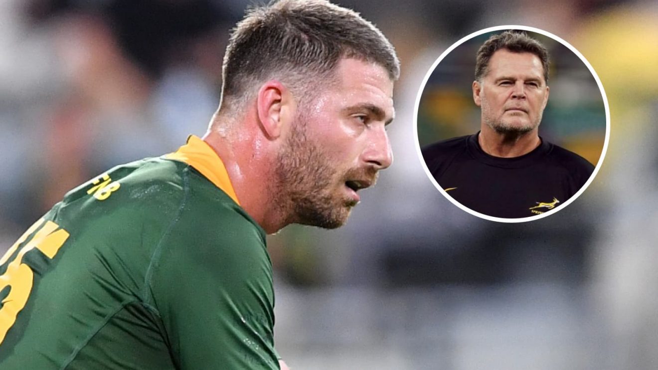 Springboks full-back Willie le Roux set for new role under Rassie Erasmus