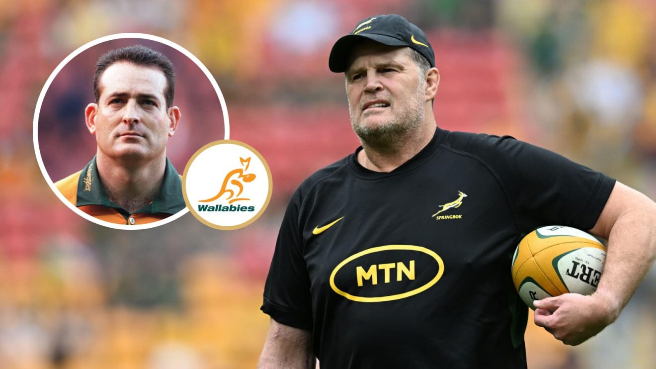 Springboks head coach Rassie Erasmus and an insert of Wallabies legend David Campese.