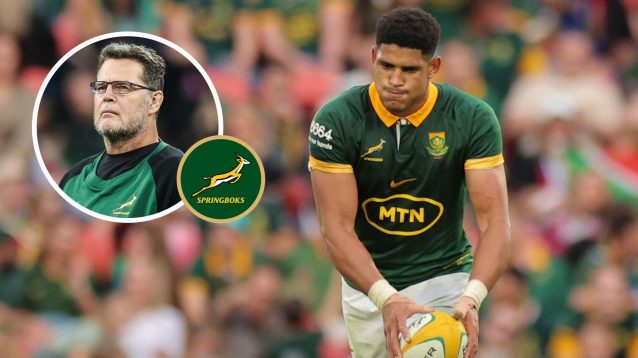 Sacha Feinberg-Mngomezulu, Rassie Erasmus