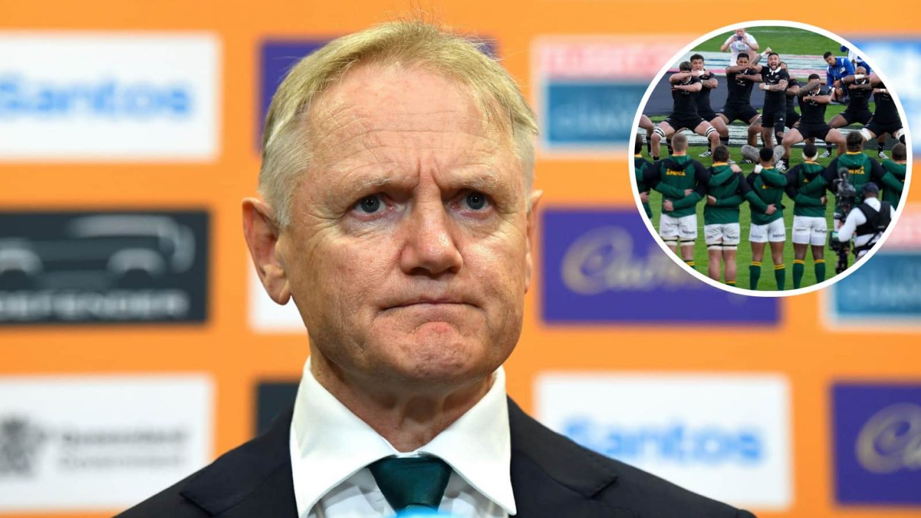 Australia head coach Joe Schmidt and an insert of the All Blacks performing the haka against the Springboks.