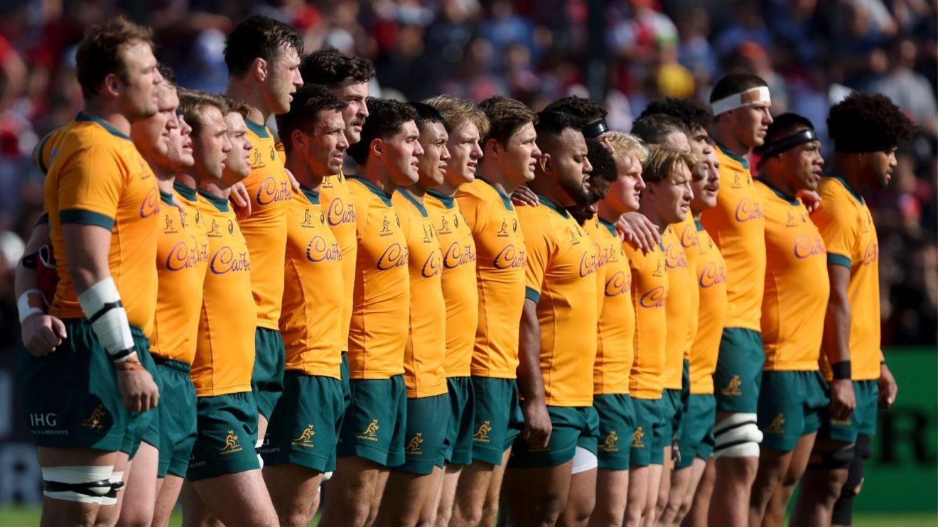 Wallabies