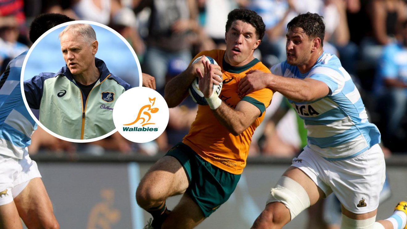 Joe Schmidt and Ben Donaldson image.jpg