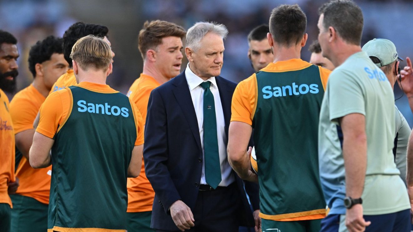Joe Schmidt Wallabies coach v NZ RC 2024 - Alamy.jpg