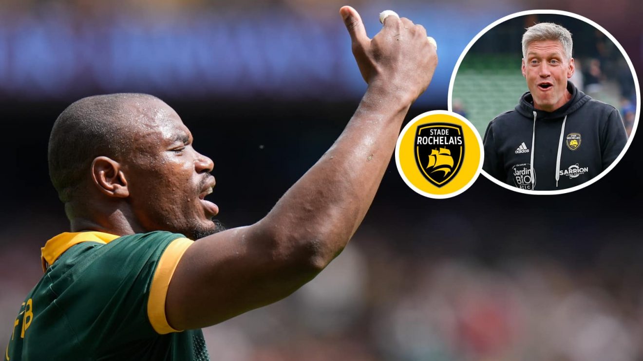 Springboks winger Makazole Mapimpi and an insert of La Rochelle boss Ronan O'Gara.