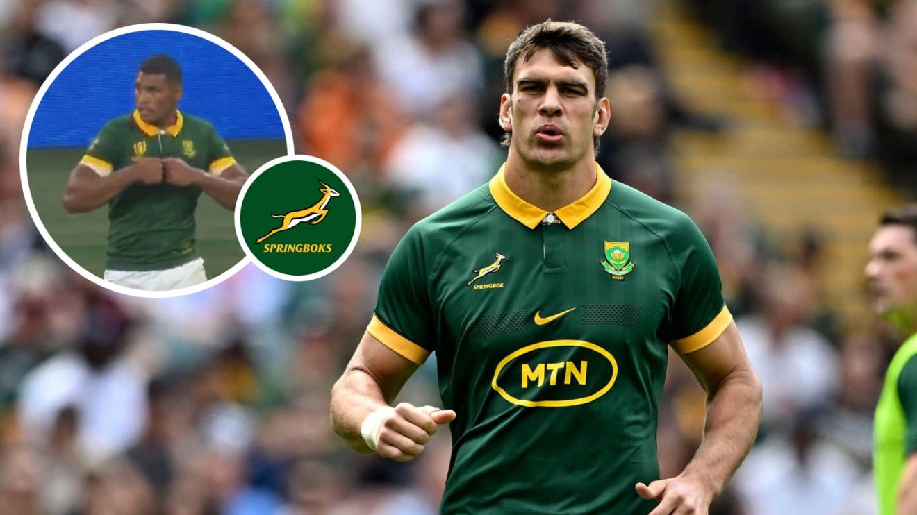 Springboks flanker Ben-Jason Dixon and an insert of back Damian Willemse.