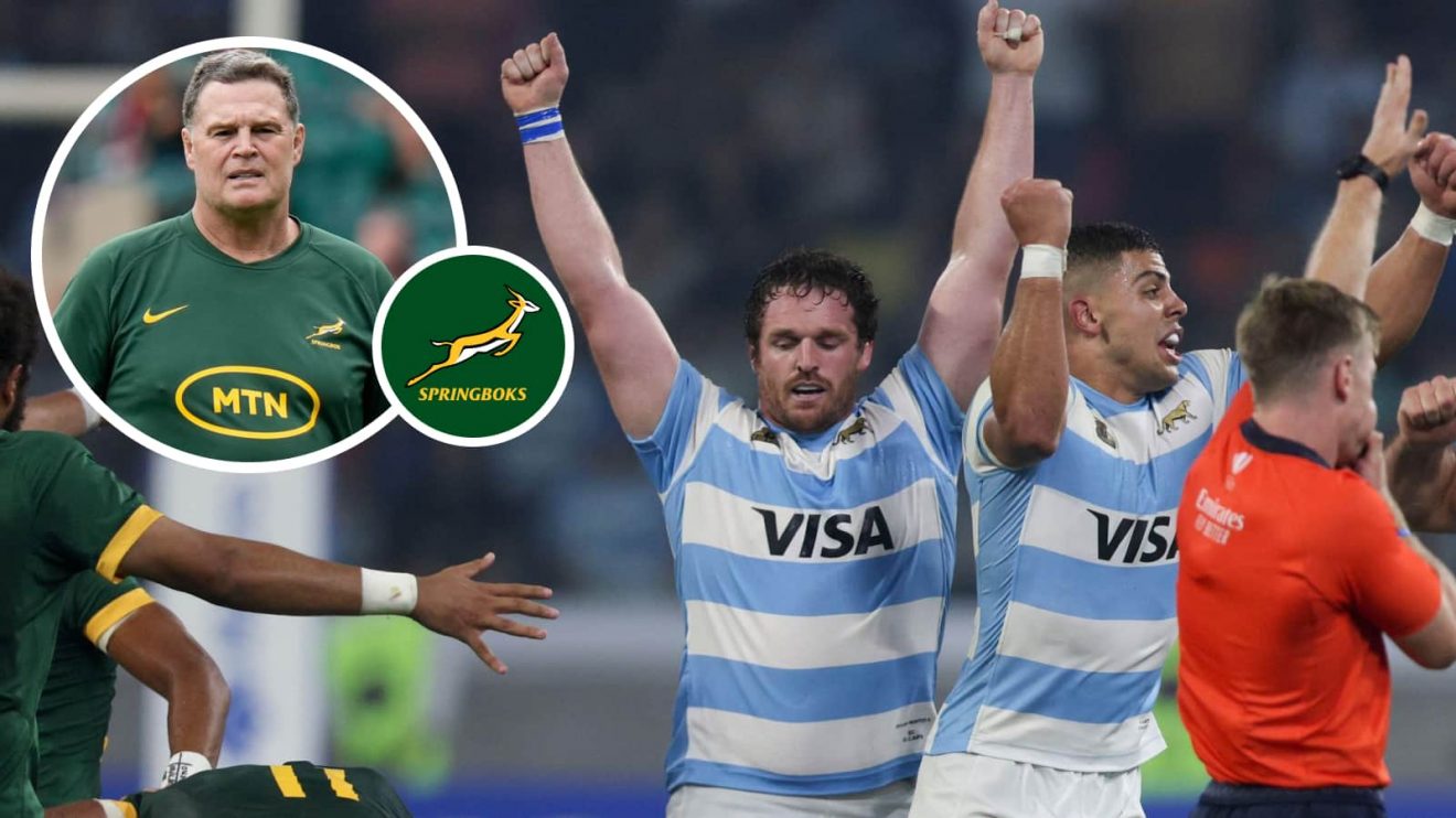 Argentina players celebrate and Springboks head coach Rassie Erasmus