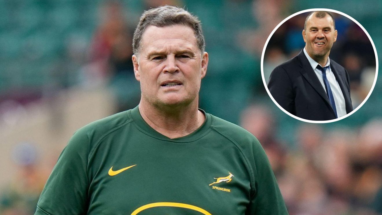 Rassie Erasmus and Michael Cheika image