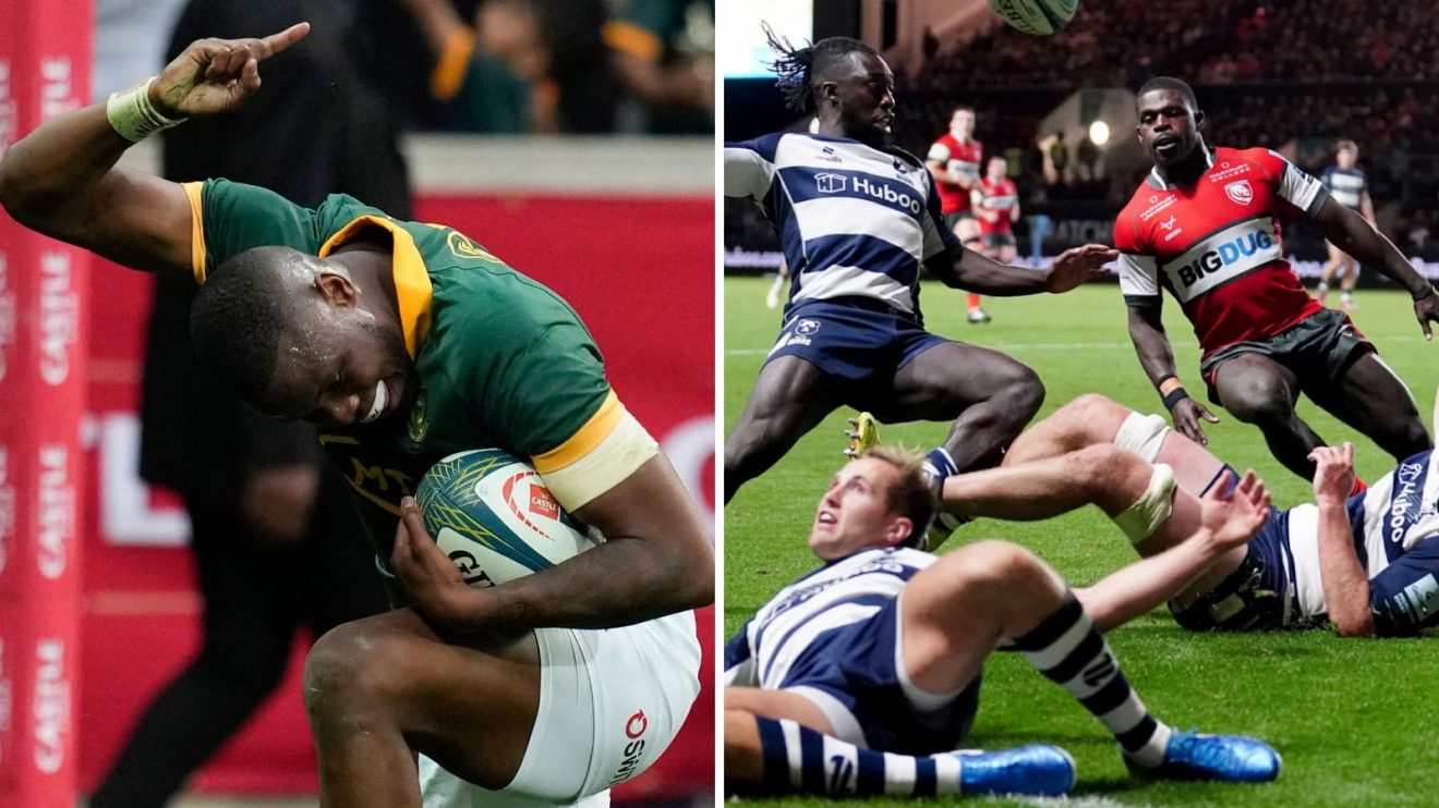 Springboks full-back Aphelele Fassi celebrates and Gloucester wing Christian Wade