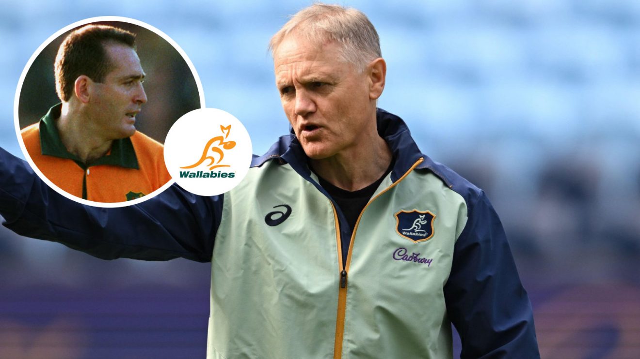 David Campese and Joe Schmidt image