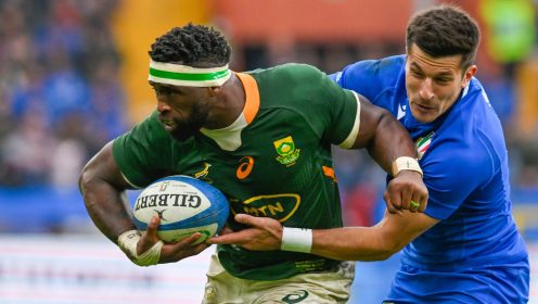 Springboks’ opponents for 2025 mid-year internationals revealed – report