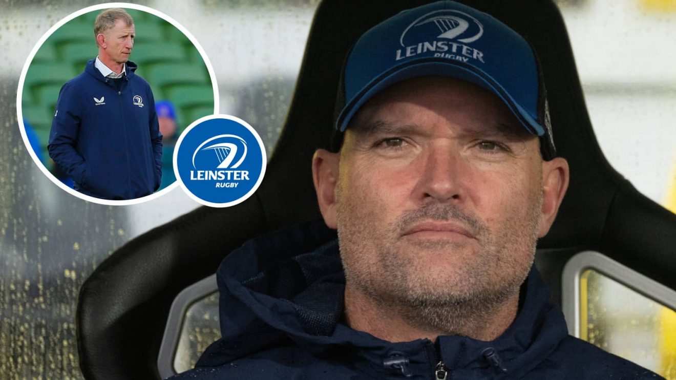 Leinster defence guru Jacques Nienaber and head coach Leo Cullen (inset).