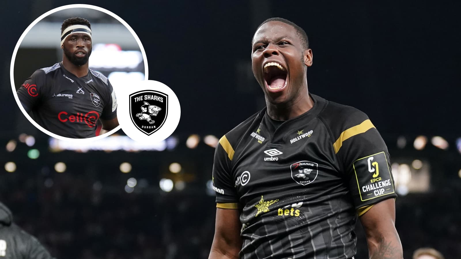 Sharks v Glasgow Warriors 5 takeaways as 'Bok Squad' is the difference