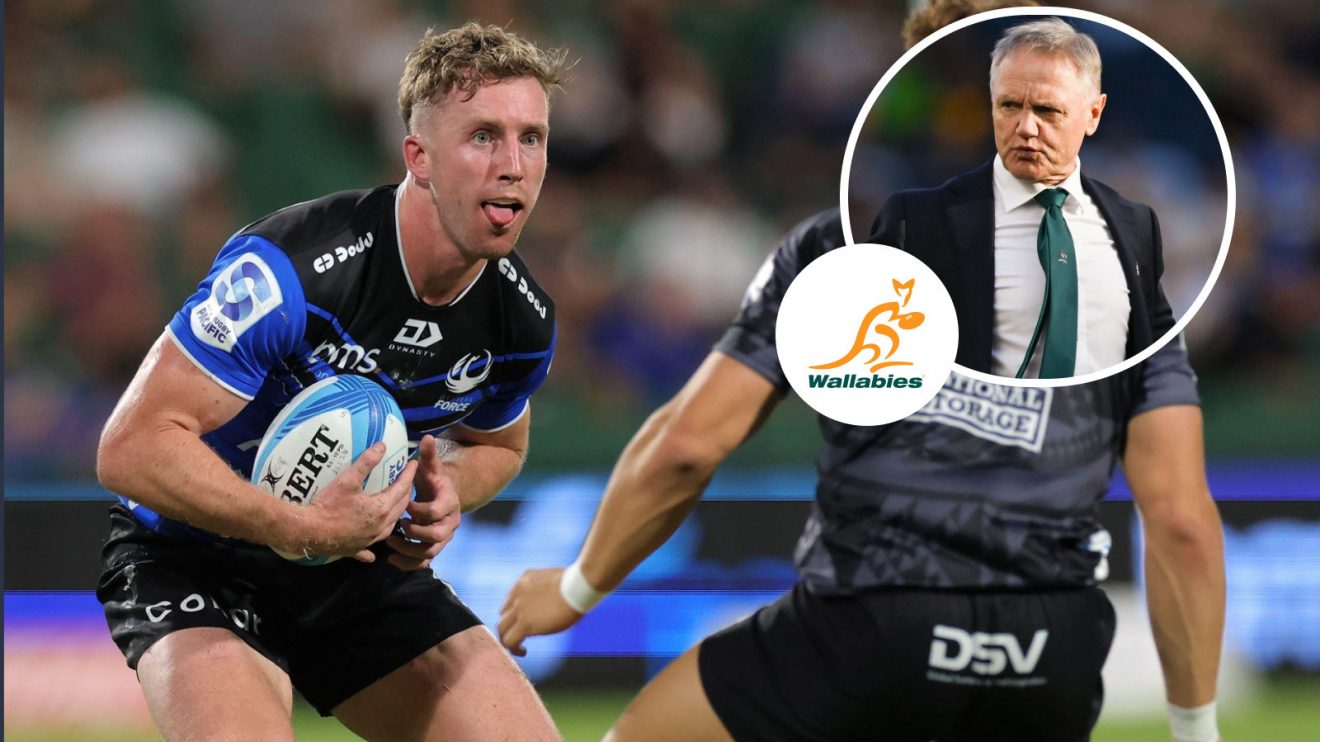 Harry Potter and Joe Schmidt image