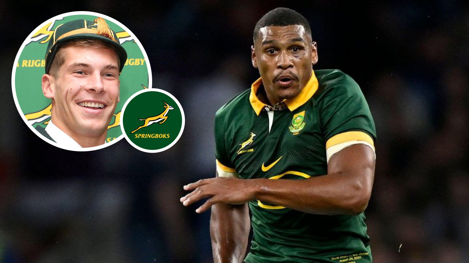 Springboks Damian Willemse out, Cameron Hanekom added to squad