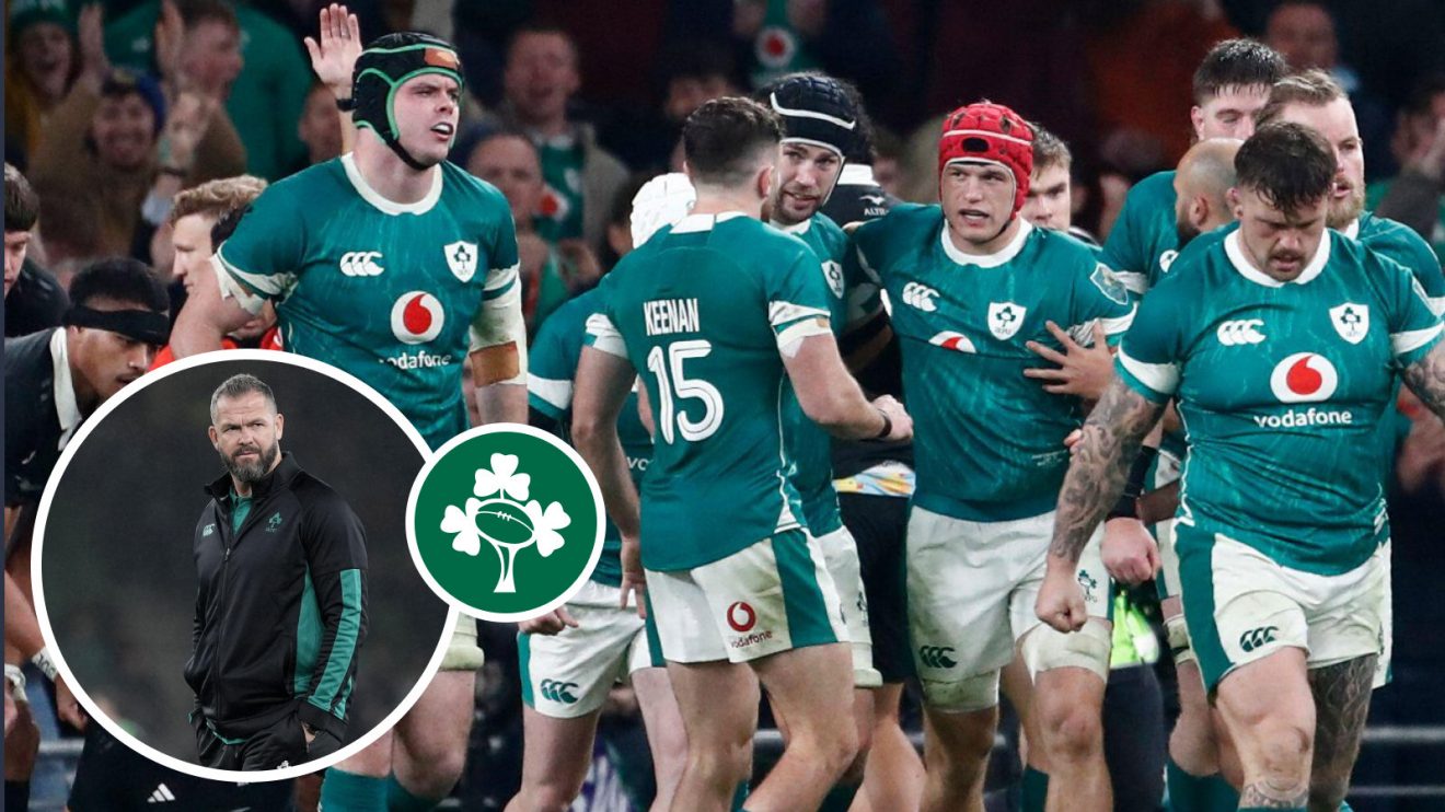 Andy Farrell and Ireland players image