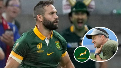 Springboks address ‘compressed week’ concerns and England form ahead of Autumn Nations Series clash