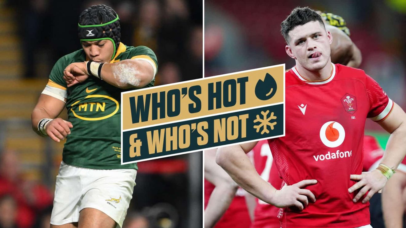 Split image of Cheslin Kolbe and James Botham.