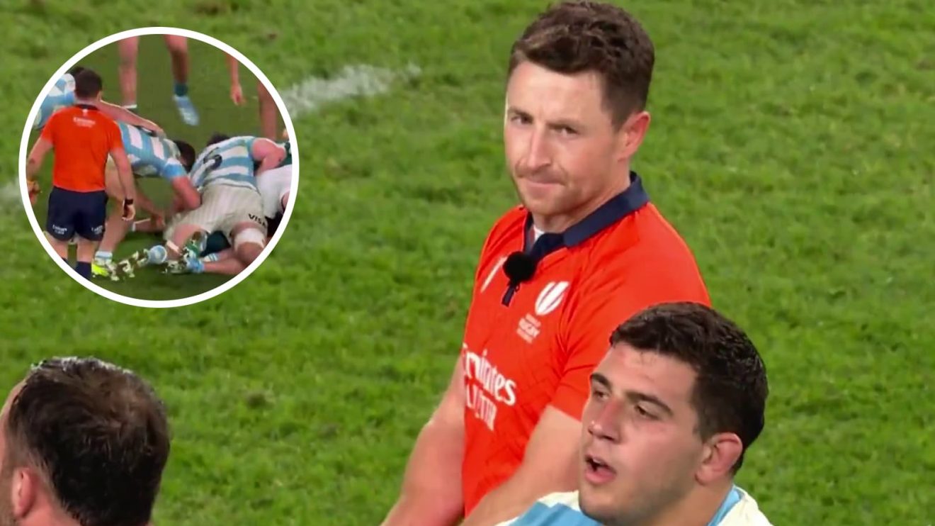 Referee Paul Williams during Ireland v Argentina during the Autumn Nations Series match at the Aviva Stadium.