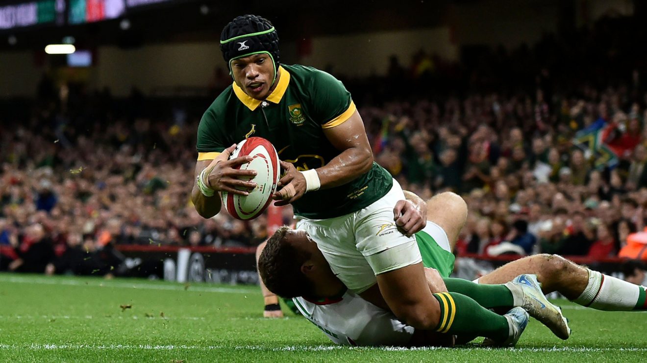 Kurt-Lee Arendse scoring for the Springboks against Wales.