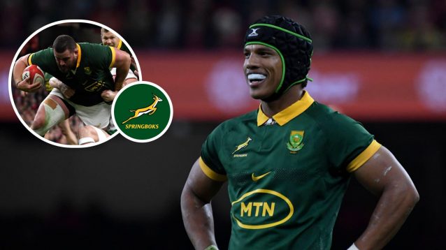 Springboks player ratings: ‘Brutal’ South Africa pack ‘obliterate’ Wales as backs ‘dazzle’ in an emphatic end to the year