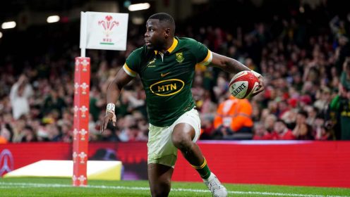 World rankings: Springboks finish the year on top of the standings