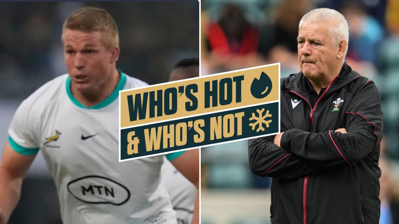 Pieter-Steph du Toit was named World Rugby Men's Player of the Year while Warren Gatland's Wales lost again.