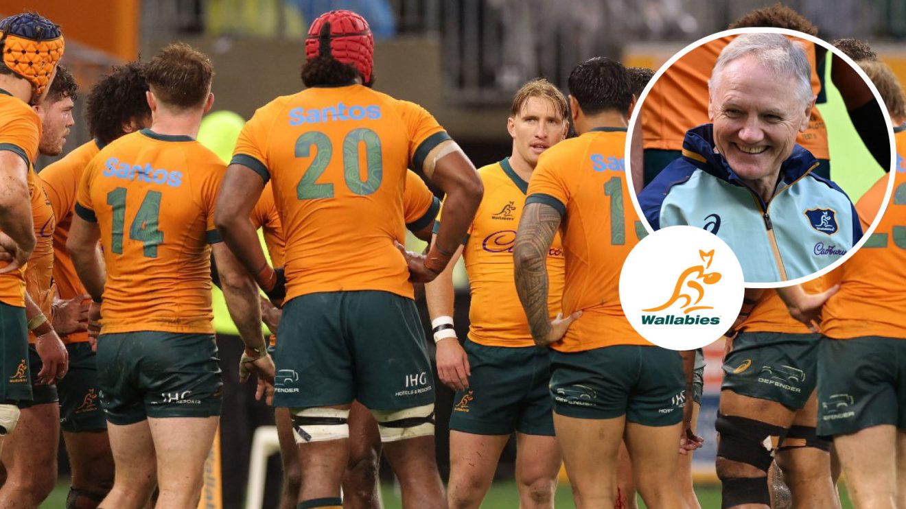 Wallabies and Joe Schmidt photo 2024