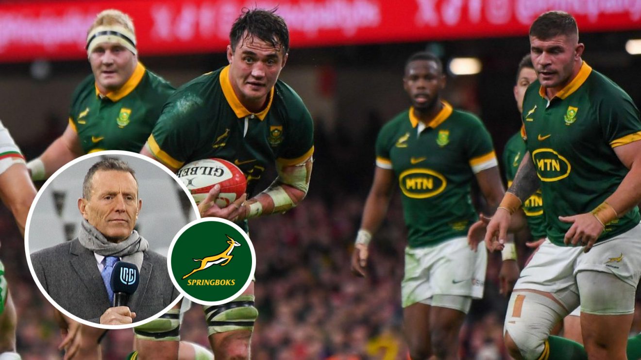 Joel Stransky and Franco Mostert image.jpg