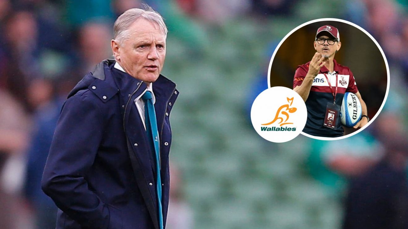 Wallabies' Joe Schmidt and Reds boss Les Kiss, who is favourite to be the next Australia head coach.