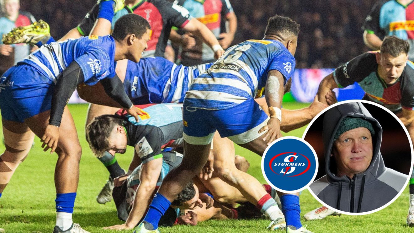 Stormers and John Dobson image