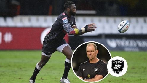 Sharks coach gives update on rumours of Siya Kolisi’s return to the Stormers