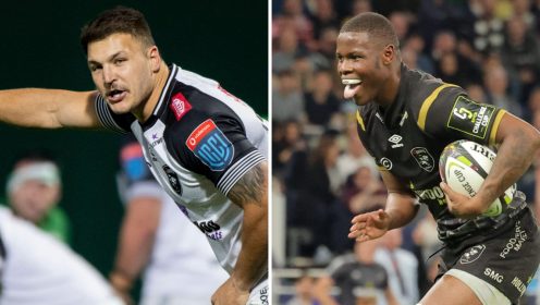 Springboks duo under injury cloud ahead of Sharks’ Champions Cup clash with Toulouse