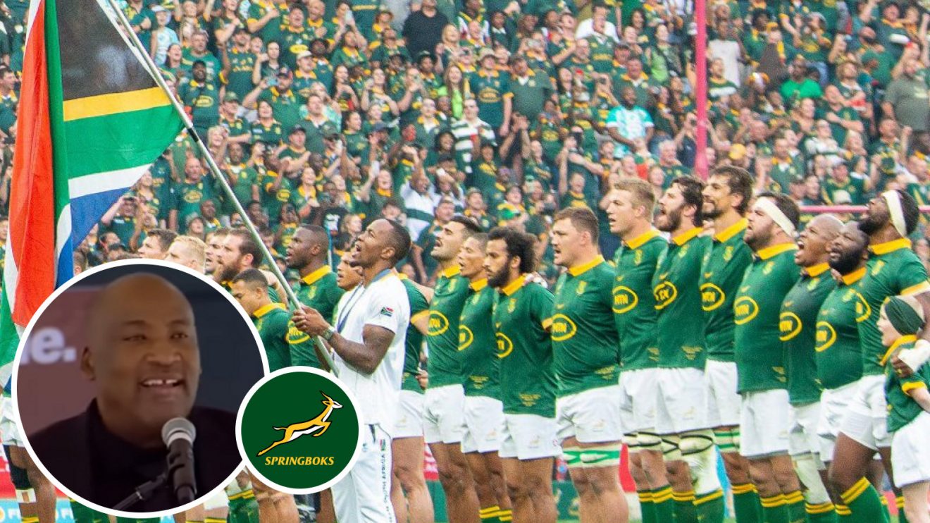 Gayton McKenzie and Springboks image