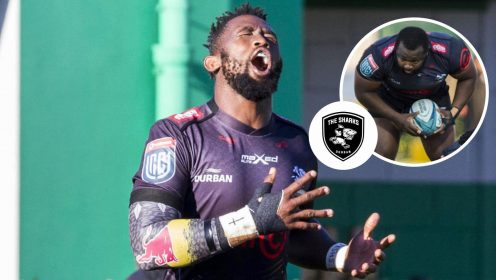 Sharks player ratings: Siya Kolisi ‘outplayed’ as Springboks stars struggle in Toulouse defeat