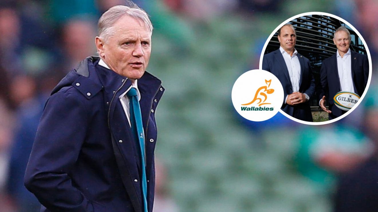 Joe Schmidt in November 2024 and the Wallabies head coach alongside Rugby Australia CEO Phil Waugh (inset).
