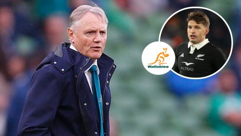 Rugby Australia chief ‘doesn’t want to get into trouble’ over Joe Schmidt saga as Beauden Barrett weighs in