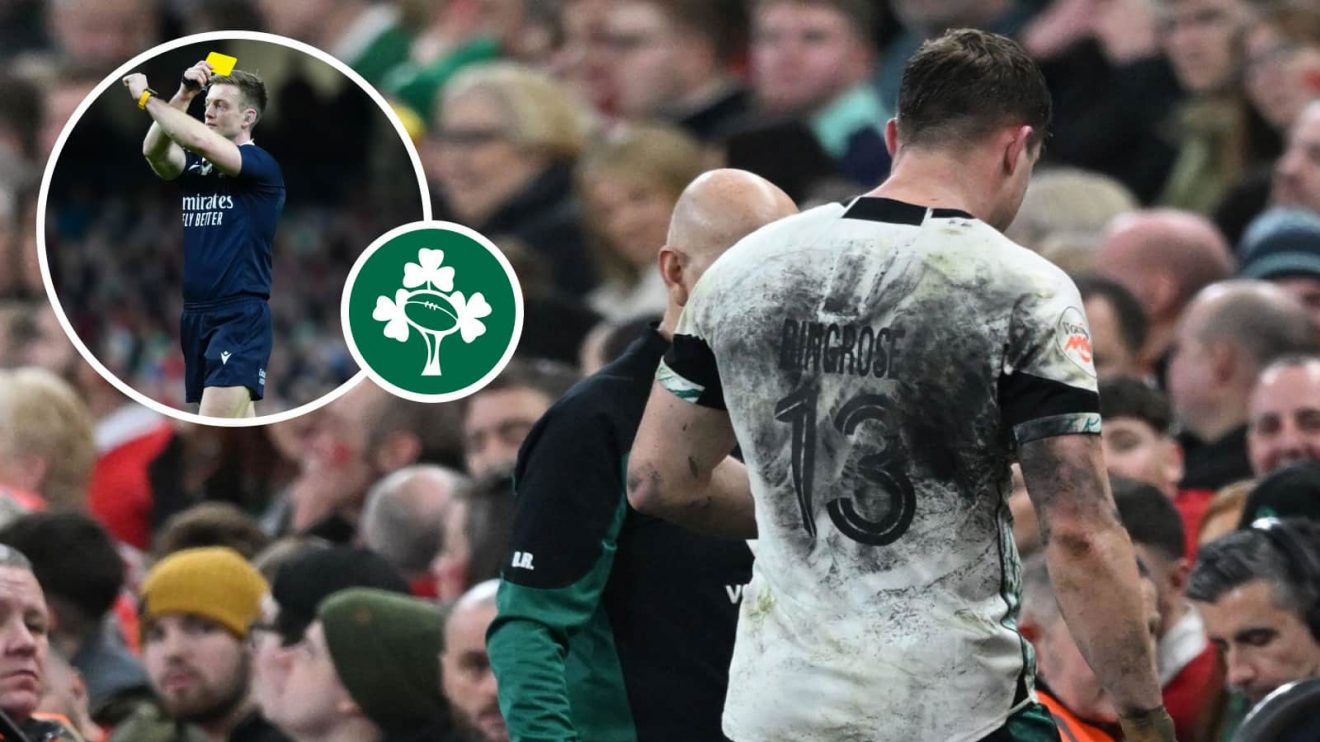 Ireland's Garry Ringrose after being sin-binned by referee (inset) in Six Nations clash against Wales.