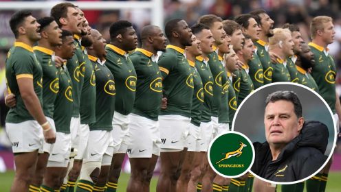 Springboks home fixtures confirmed as Rassie Erasmus’ men return to Gqeberha