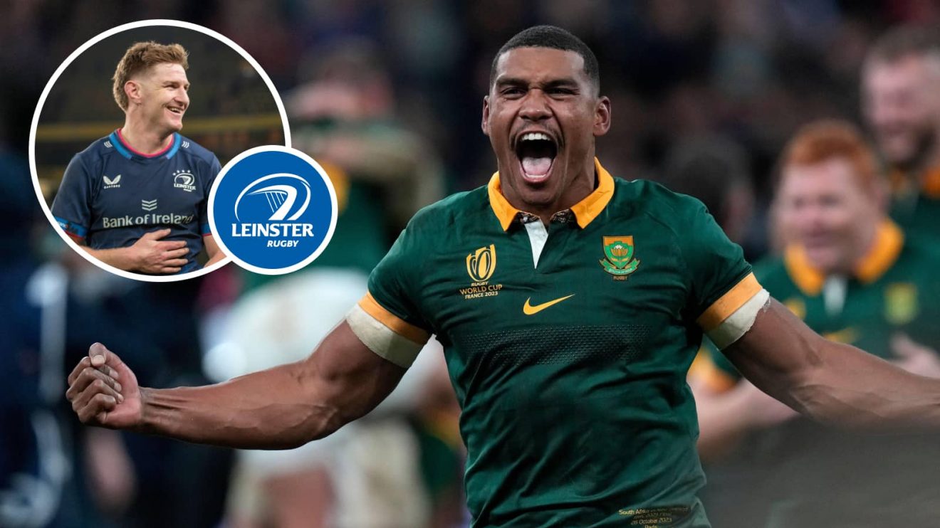 Springboks back Damian Willemse and an insert of Leinster back Jordie Barrett.